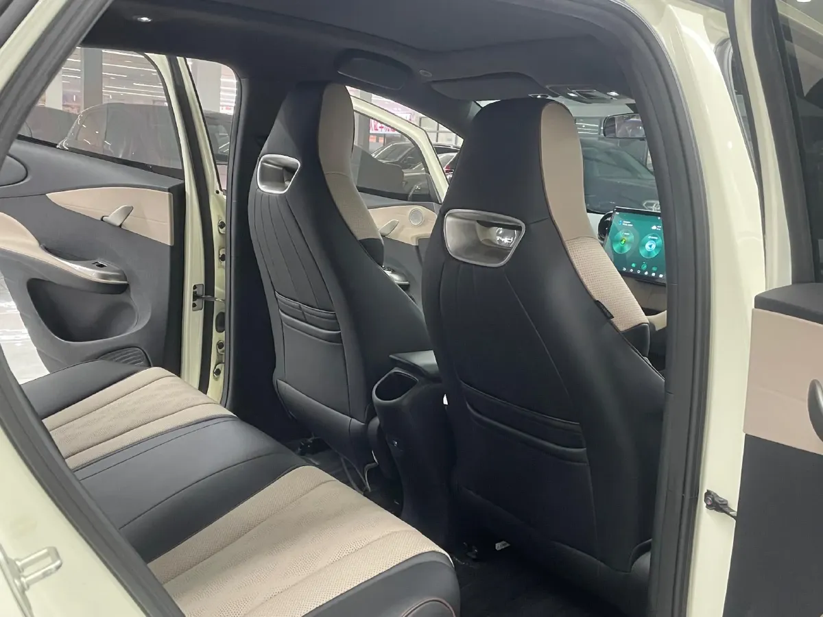 2023 BYD Dolphin BEV 44.928KWH,autocango,china used car exporter,china ev exporter,chinese used car exporter,chinese used ev exporter