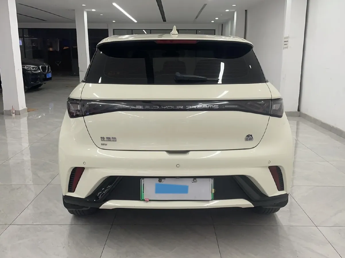 2023 BYD Dolphin BEV 44.928KWH,autocango,china used car exporter,china ev exporter,chinese used car exporter,chinese used ev exporter