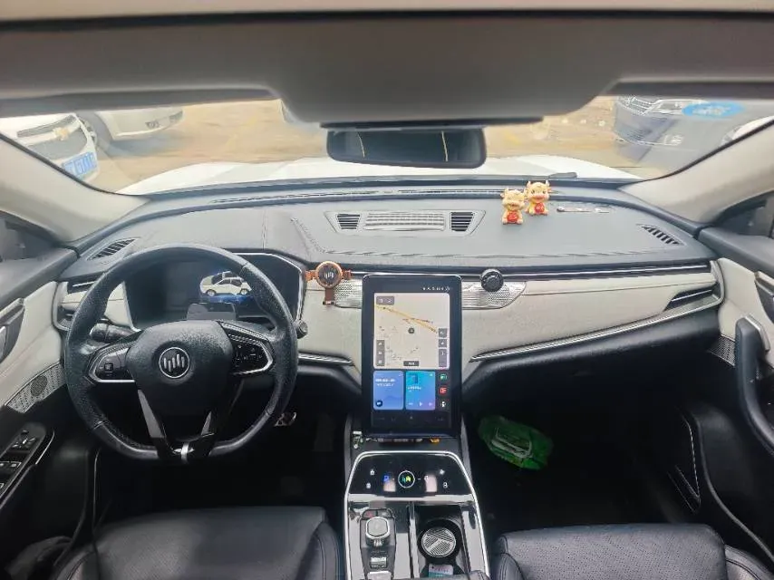 2019 Weltmeister EX5 BEV 52.56KWH,autocango,china used car exporter,china ev exporter,chinese used car exporter,chinese used ev exporter