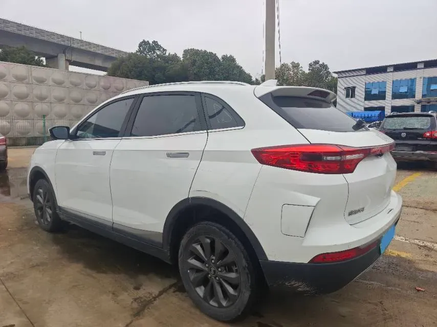 2019 Weltmeister EX5 BEV 52.56KWH,autocango,china used car exporter,china ev exporter,chinese used car exporter,chinese used ev exporter