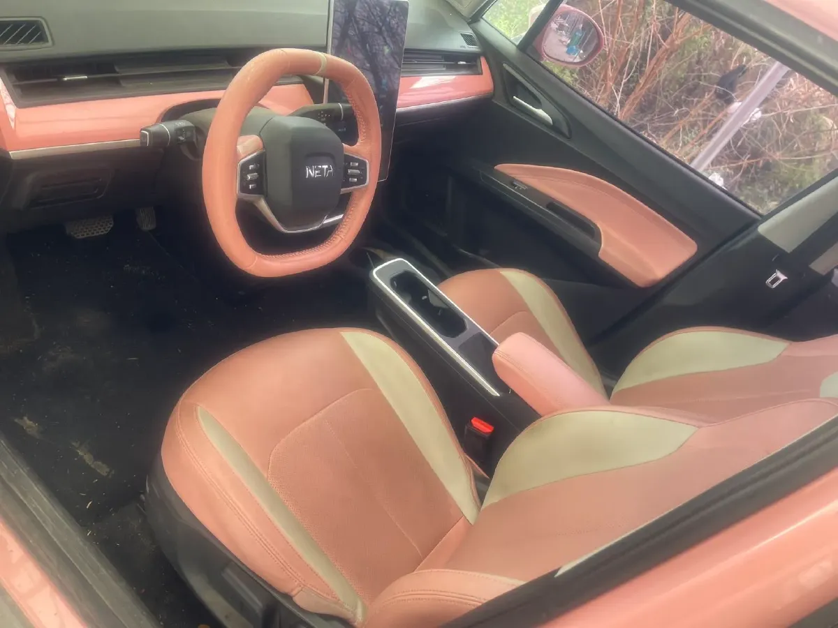 2021 Neta V BEV 31.18KWH,autocango,china used car exporter,china ev exporter,chinese used car exporter,chinese used ev exporter