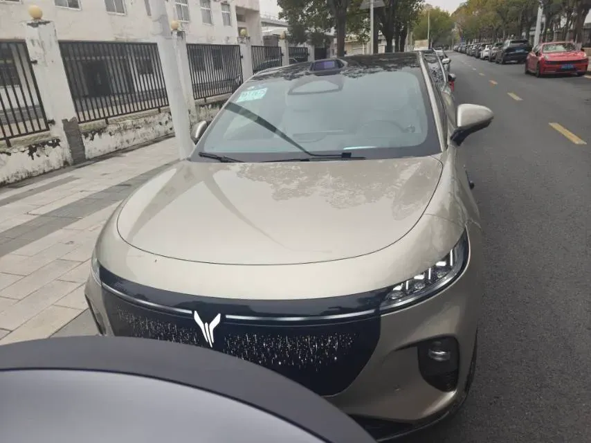 2025 Voyah ZhiYin BEV,autocango,china used car exporter,china ev exporter,chinese used car exporter,chinese used ev exporter