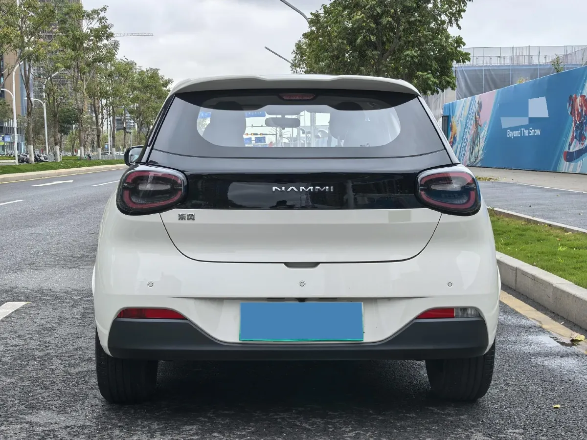 2024 DongFeng eπ 01 BEV 31.45KWH,autocango,china used car exporter,china ev exporter,chinese used car exporter,chinese used ev exporter