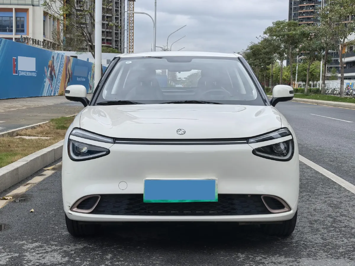 2024 DongFeng eπ 01 BEV 31.45KWH,autocango,china used car exporter,china ev exporter,chinese used car exporter,chinese used ev exporter