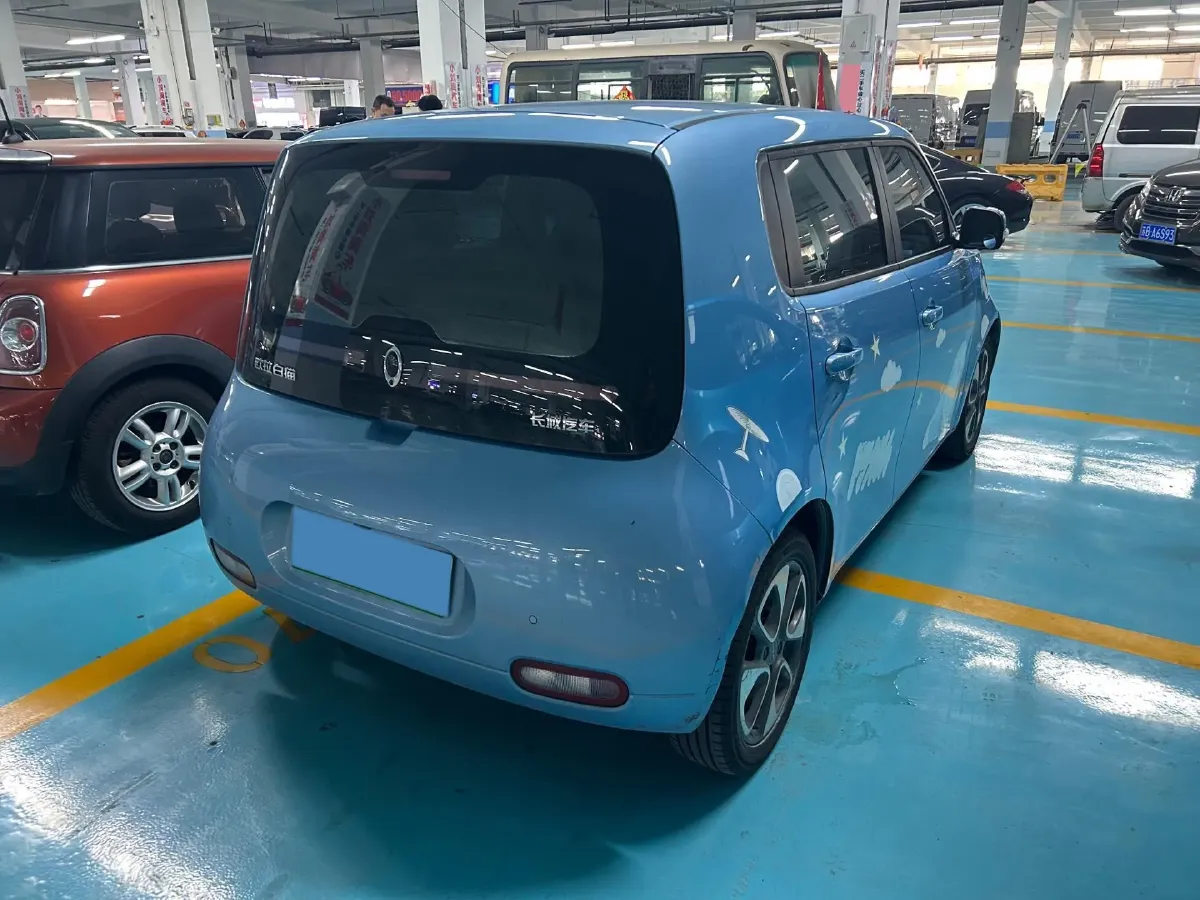 2020 Ora WhiteCat BEV 29.4KWH,autocango,china used car exporter,china ev exporter,chinese used car exporter,chinese used ev exporter