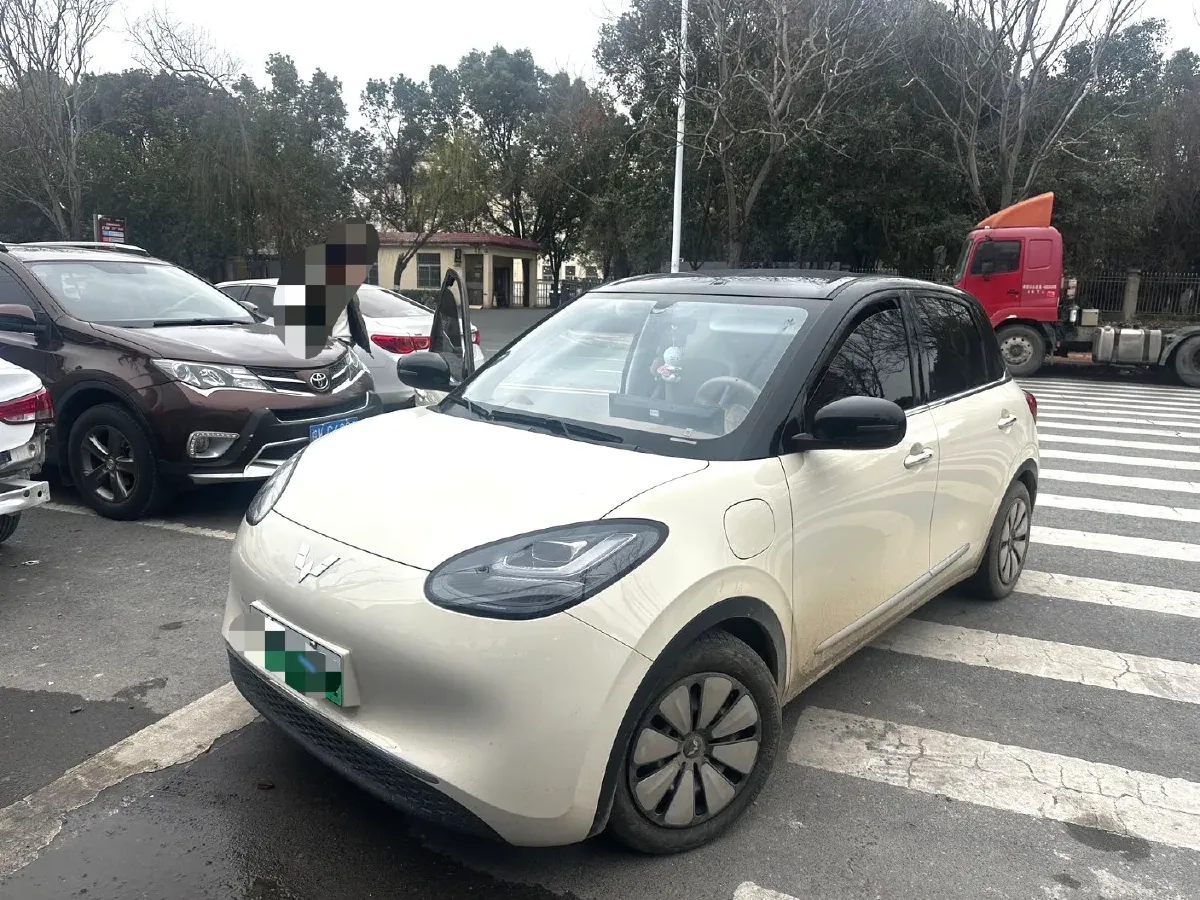 2025 WuLing BinGuo BEV,autocango,china used car exporter,china ev exporter,chinese used car exporter,chinese used ev exporter