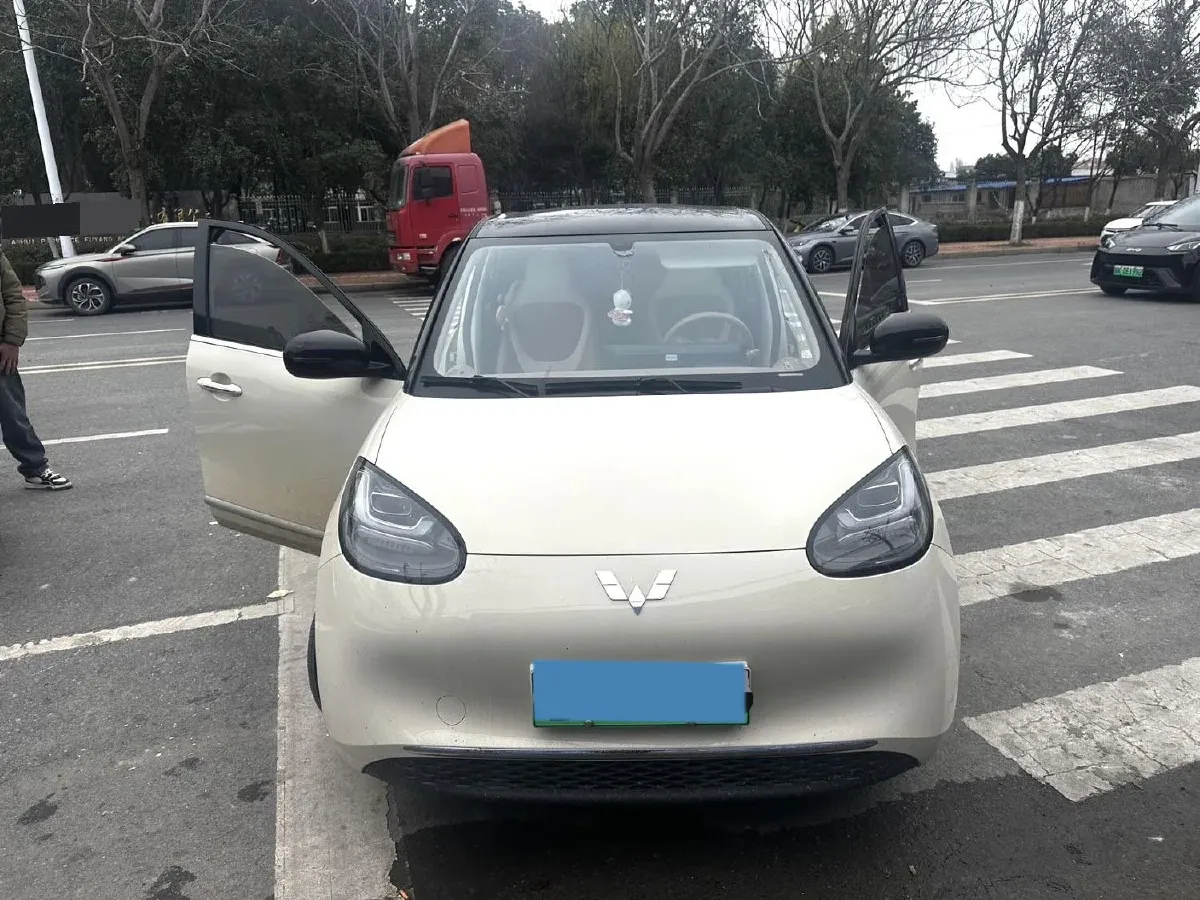 2025 WuLing BinGuo BEV,autocango,china used car exporter,china ev exporter,chinese used car exporter,chinese used ev exporter