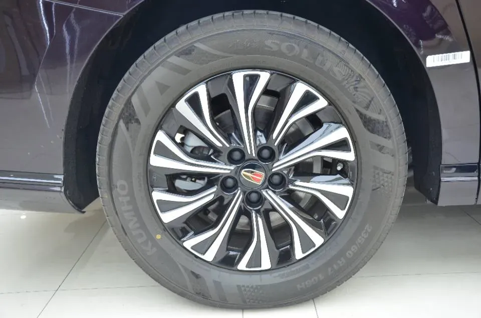 2024 HongQi HQ9 2.0T 163HP L4 1DHT PHEV 20.14KWH,autocango,china used car exporter,china ev exporter,chinese used car exporter,chinese used ev exporter