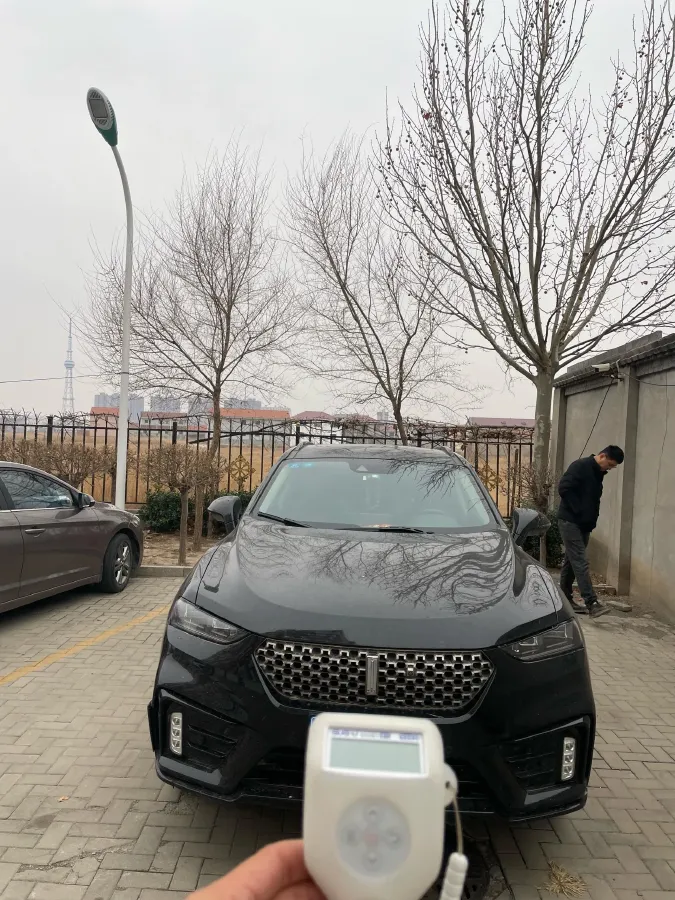 2020 WEY VV7 2.0T 227HP L4 7DCT,autocango,china used car exporter,china ev exporter,chinese used car exporter,chinese used ev exporter