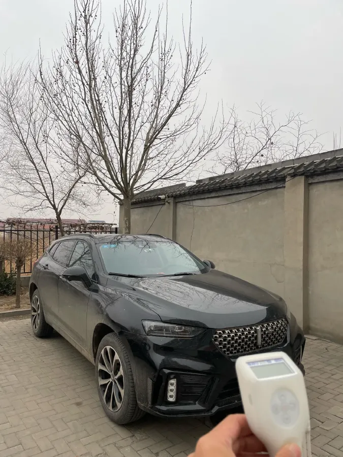 2020 WEY VV7 2.0T 227HP L4 7DCT,autocango,china used car exporter,china ev exporter,chinese used car exporter,chinese used ev exporter