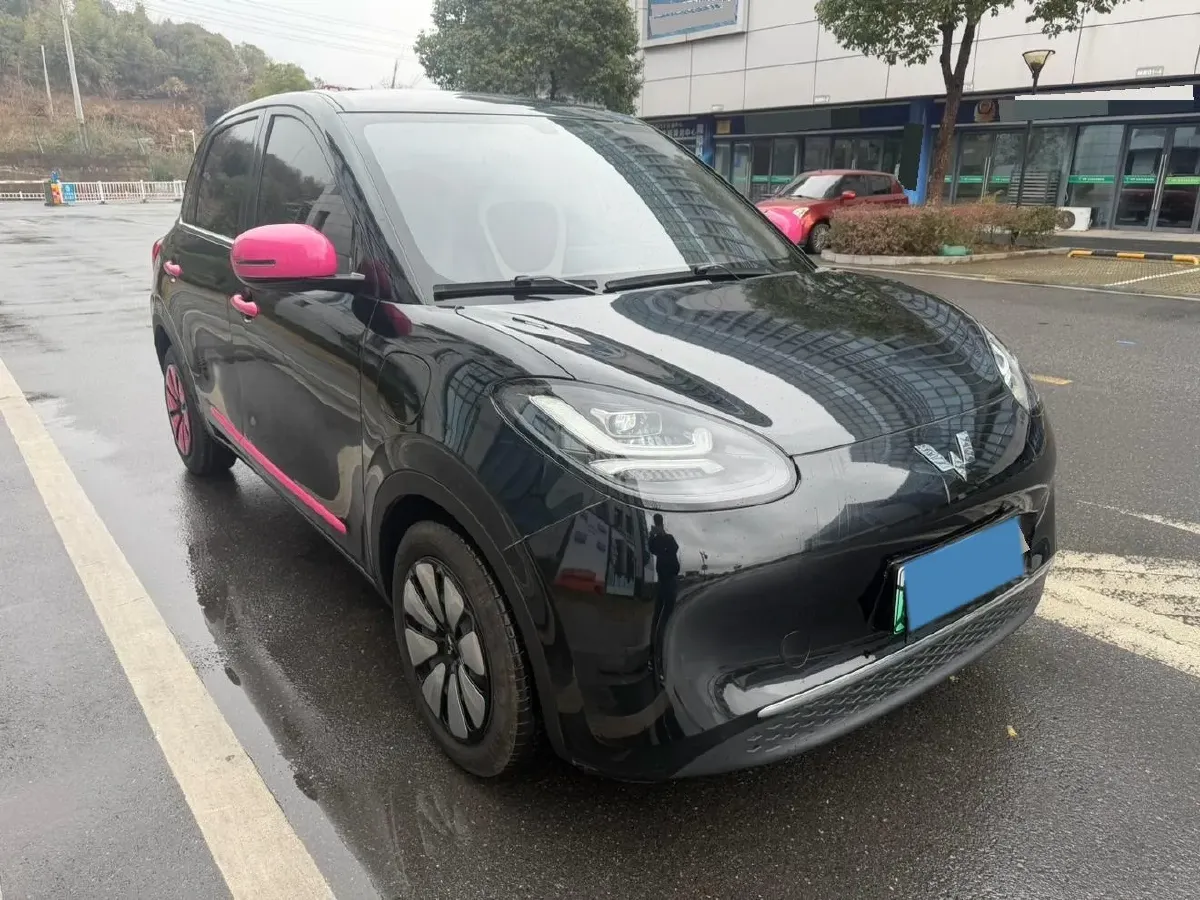 2024 WuLing BinGuo BEV 31.9KWH,autocango,china used car exporter,china ev exporter,chinese used car exporter,chinese used ev exporter