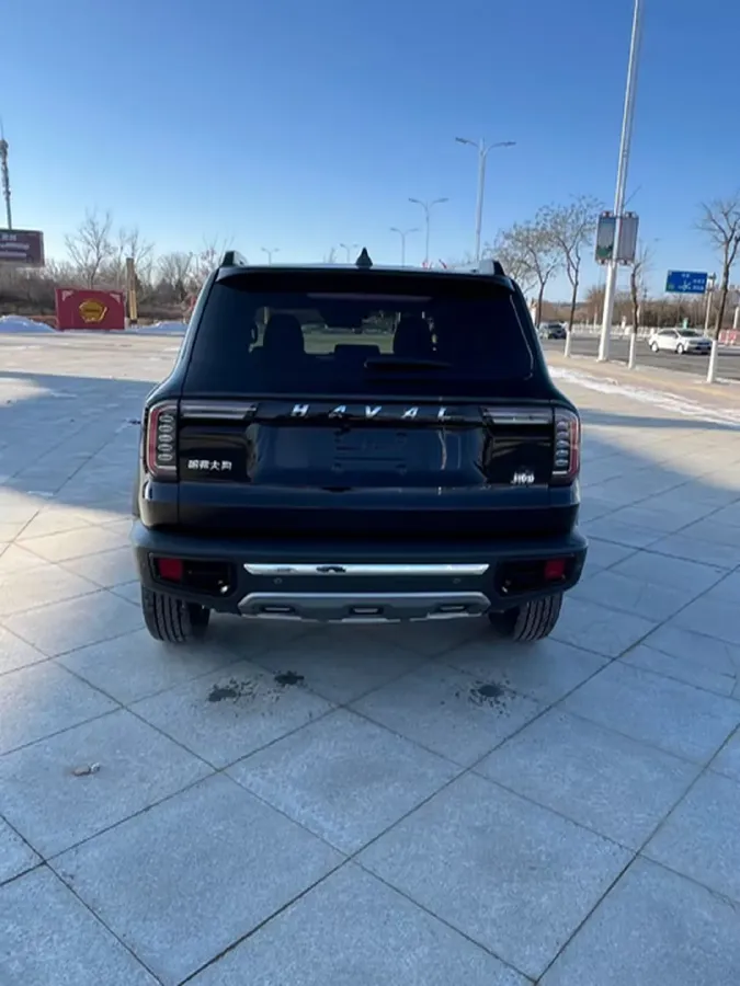 2021 Haval Dargo 2.0T 211HP L4 7DCT,autocango,china used car exporter,china ev exporter,chinese used car exporter,chinese used ev exporter