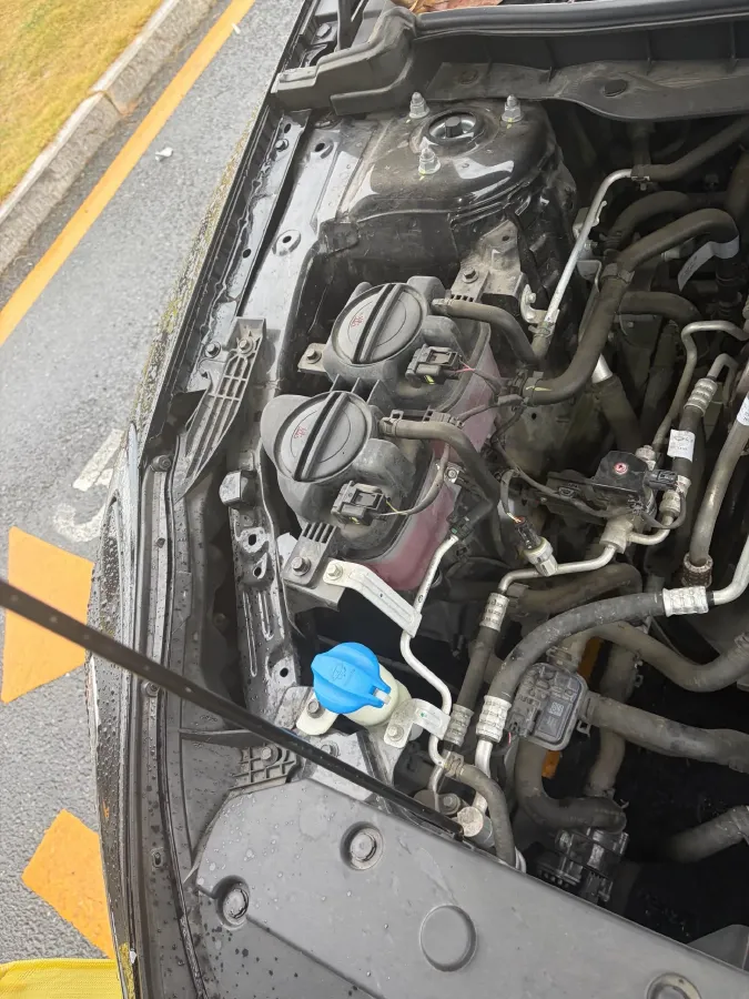 2023 HongQi E-QM5 BEV 54KWH,autocango,china used car exporter,china ev exporter,chinese used car exporter,chinese used ev exporter