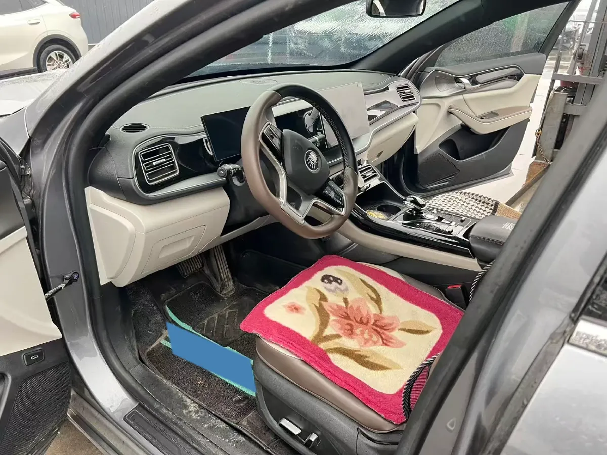 2023 BYD Qin Plus BEV 48KWH,autocango,china used car exporter,china ev exporter,chinese used car exporter,chinese used ev exporter