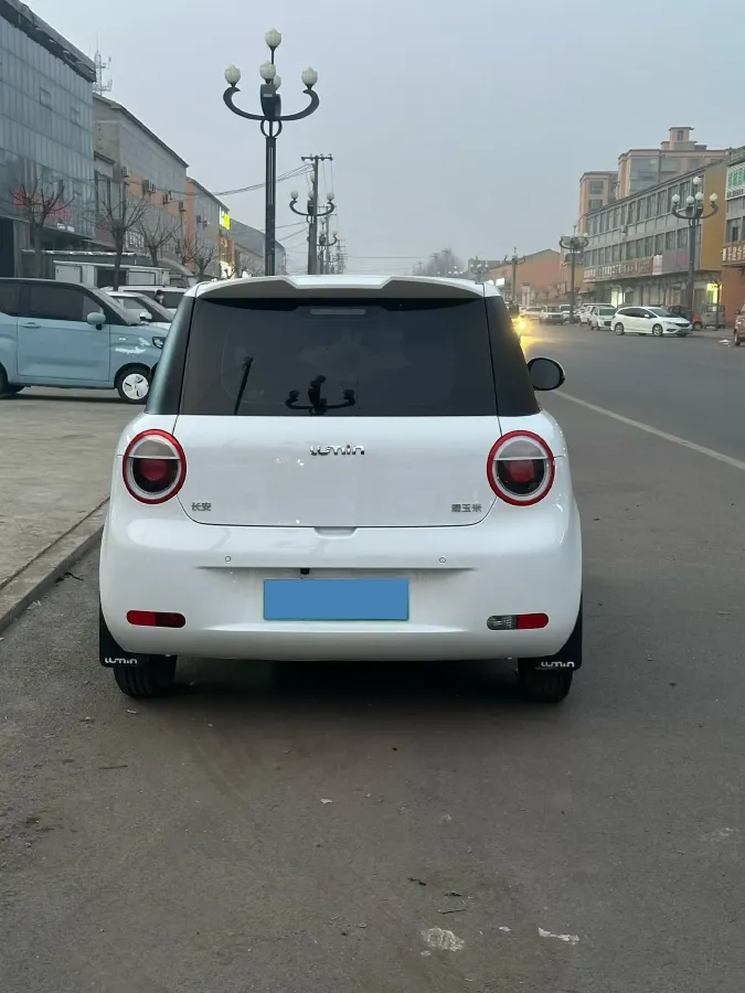 2024 ChangAn QiYuan Lumin BEV 13.41KWH,autocango,china used car exporter,china ev exporter,chinese used car exporter,chinese used ev exporter