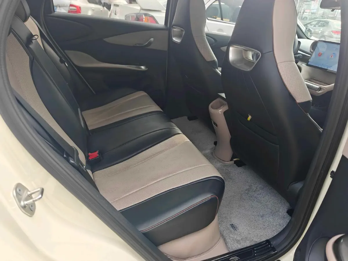 2023 BYD Dolphin BEV 44.928KWH,autocango,china used car exporter,china ev exporter,chinese used car exporter,chinese used ev exporter