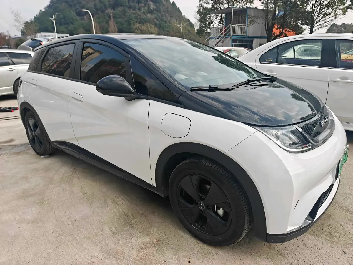 2023 BYD Dolphin BEV 44.928KWH,autocango,china used car exporter,china ev exporter,chinese used car exporter,chinese used ev exporter