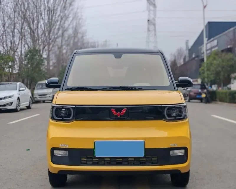 2021 WuLing HongGuang MINI EV BEV 13.9KWH,autocango,china used car exporter,china ev exporter,chinese used car exporter,chinese used ev exporter