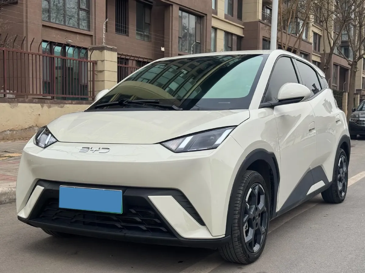 2023 BYD Seagull BEV 30.08KWH,autocango,china used car exporter,china ev exporter,chinese used car exporter,chinese used ev exporter