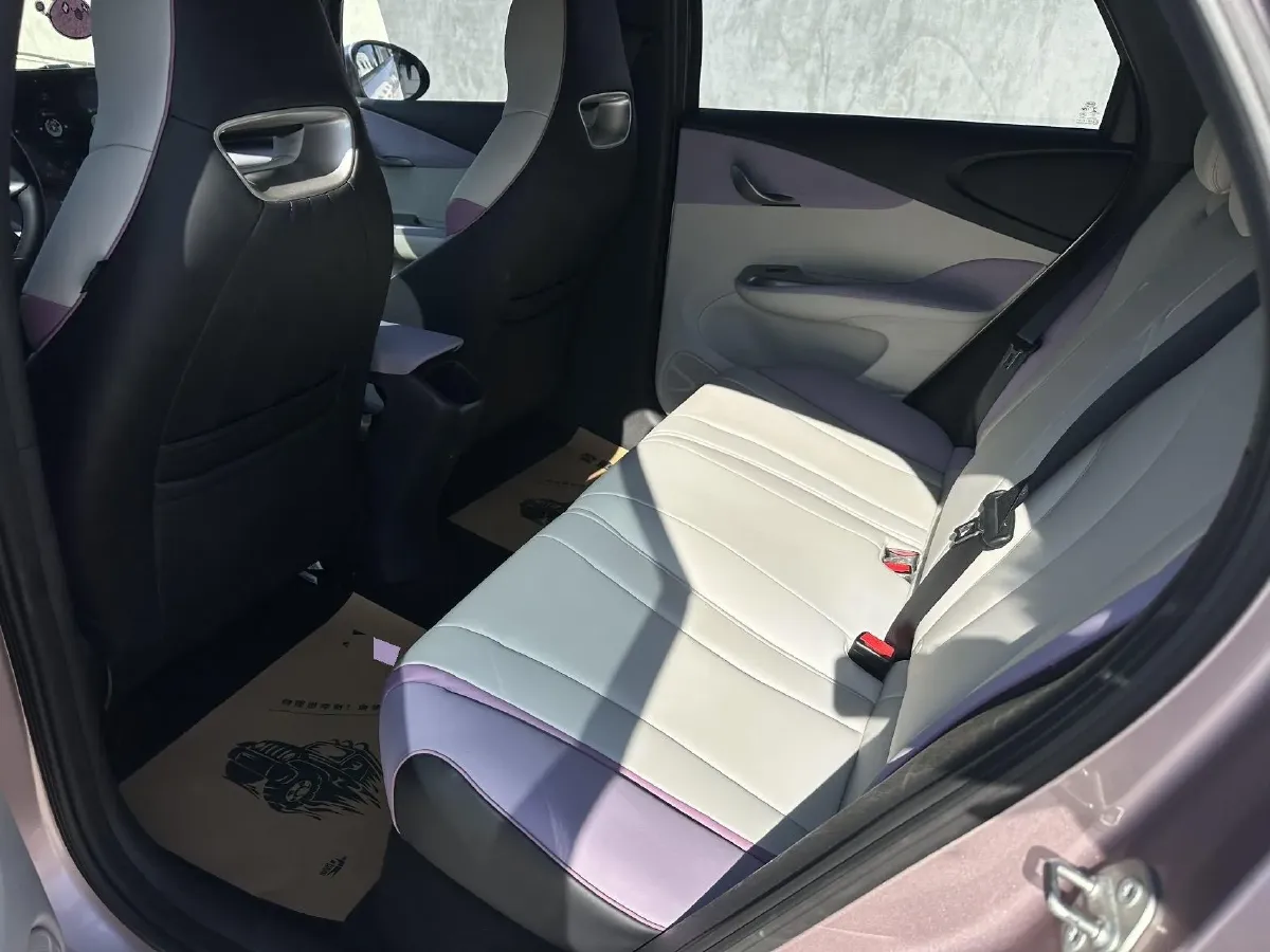 2021 BYD e2 BEV 43.2KWH,autocango,china used car exporter,china ev exporter,chinese used car exporter,chinese used ev exporter