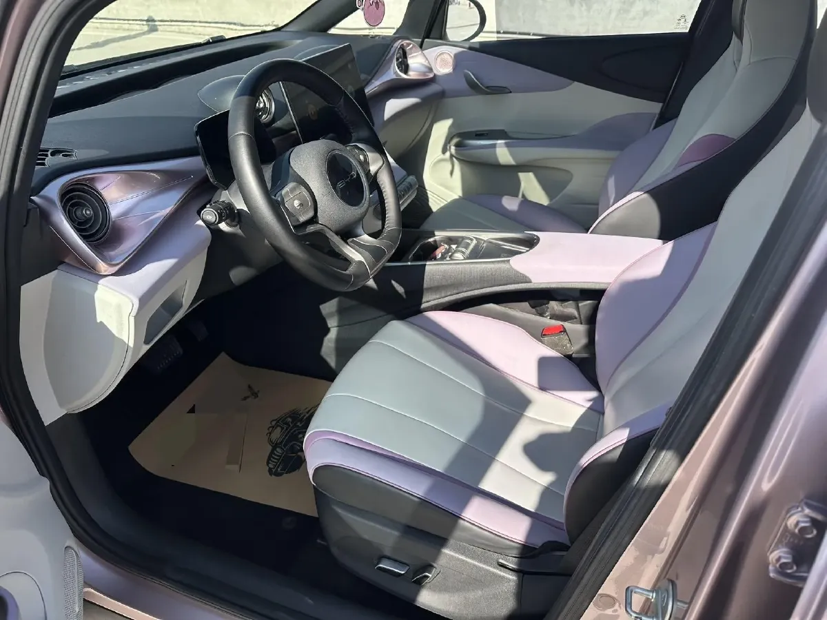 2021 BYD e2 BEV 43.2KWH,autocango,china used car exporter,china ev exporter,chinese used car exporter,chinese used ev exporter