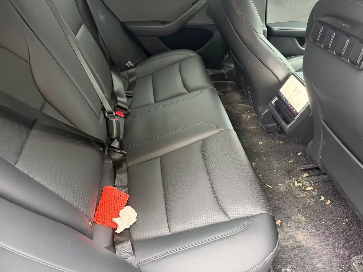 2023 Tesla Model 3 BEV 60KWH,autocango,china used car exporter,china ev exporter,chinese used car exporter,chinese used ev exporter