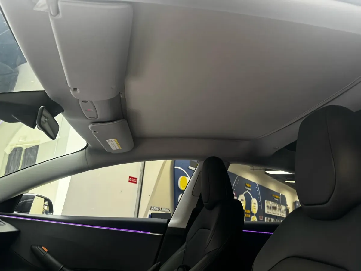 2025 Tesla Model 3 BEV 62.5KWH,autocango,china used car exporter,china ev exporter,chinese used car exporter,chinese used ev exporter