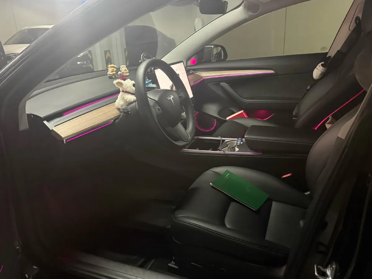 2022 Tesla Model 3 BEV 60KWH,autocango,china used car exporter,china ev exporter,chinese used car exporter,chinese used ev exporter