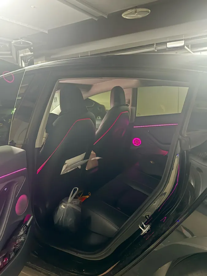 2022 Tesla Model 3 BEV 60KWH,autocango,china used car exporter,china ev exporter,chinese used car exporter,chinese used ev exporter