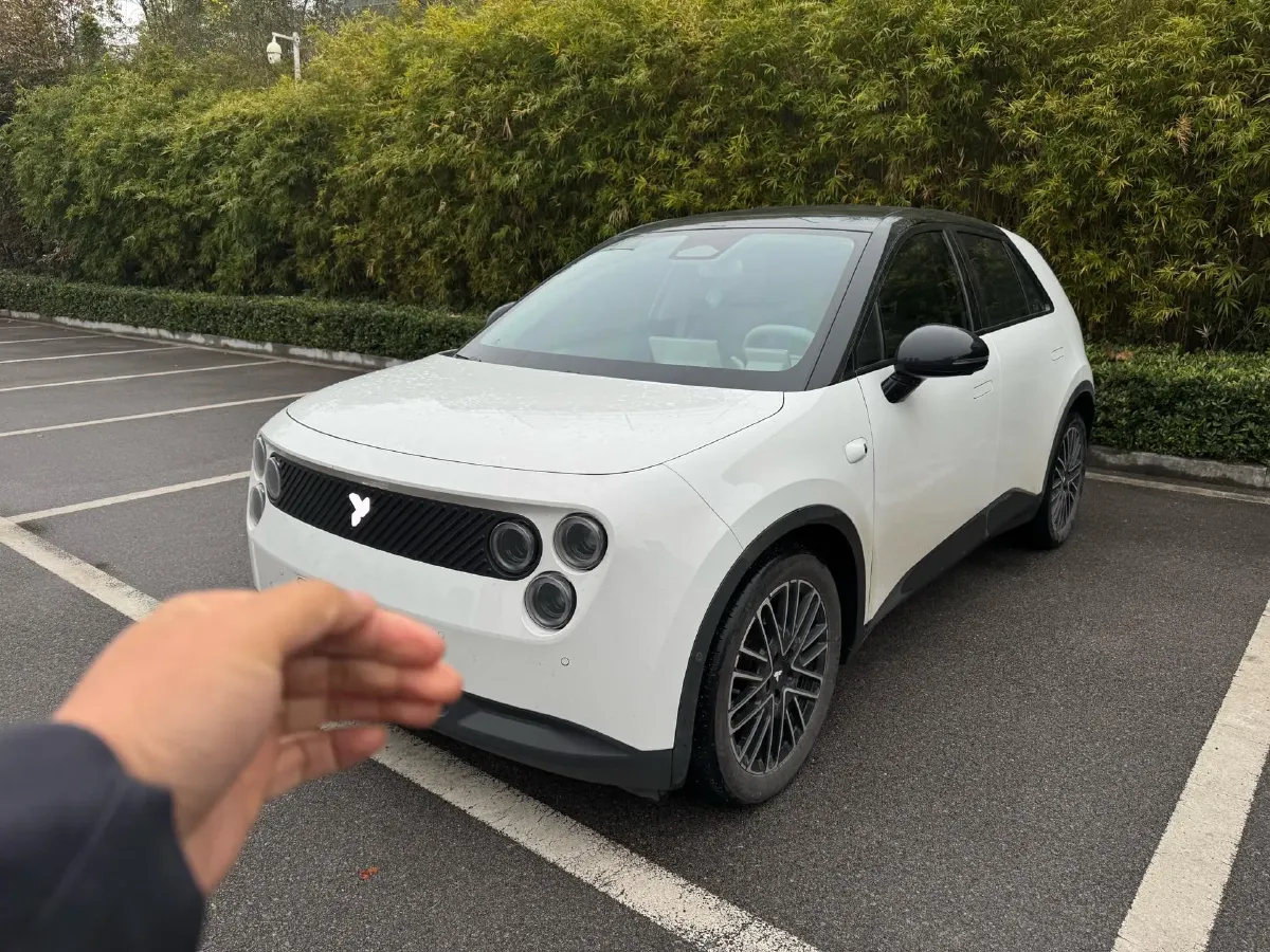 2025 Firefly Firefly BEV,autocango,china used car exporter,china ev exporter,chinese used car exporter,chinese used ev exporter