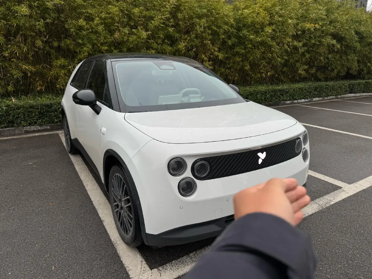 2025 Firefly Firefly BEV,autocango,china used car exporter,china ev exporter,chinese used car exporter,chinese used ev exporter