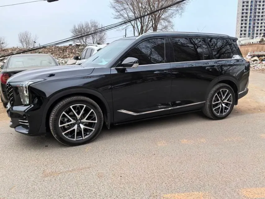 2025 GAC Trumpchi GS8 2.0T 252HP L4 8AT,autocango,china used car exporter,china ev exporter,chinese used car exporter,chinese used ev exporter