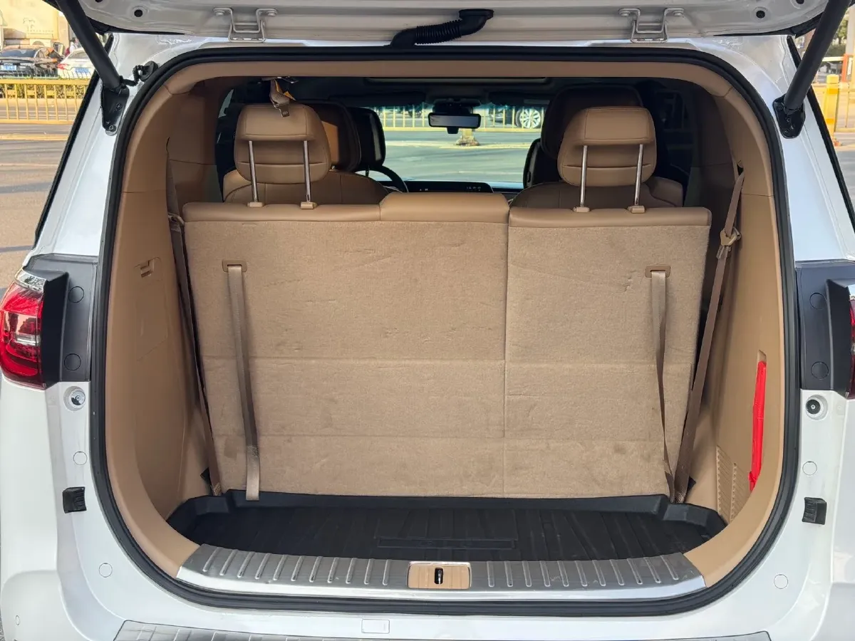 2020 Buick GL8 2.0T 237HP L4 9AT,autocango,china used car exporter,china ev exporter,chinese used car exporter,chinese used ev exporter