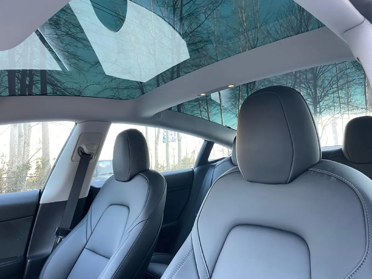 2022 Tesla Model 3 BEV 60KWH,autocango,china used car exporter,china ev exporter,chinese used car exporter,chinese used ev exporter
