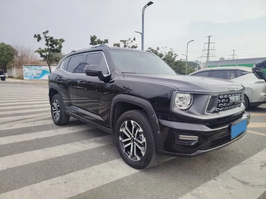 2023 Haval Dargo PLUS 2.0T 238HP L4 9DCT,autocango,china used car exporter,china ev exporter,chinese used car exporter,chinese used ev exporter