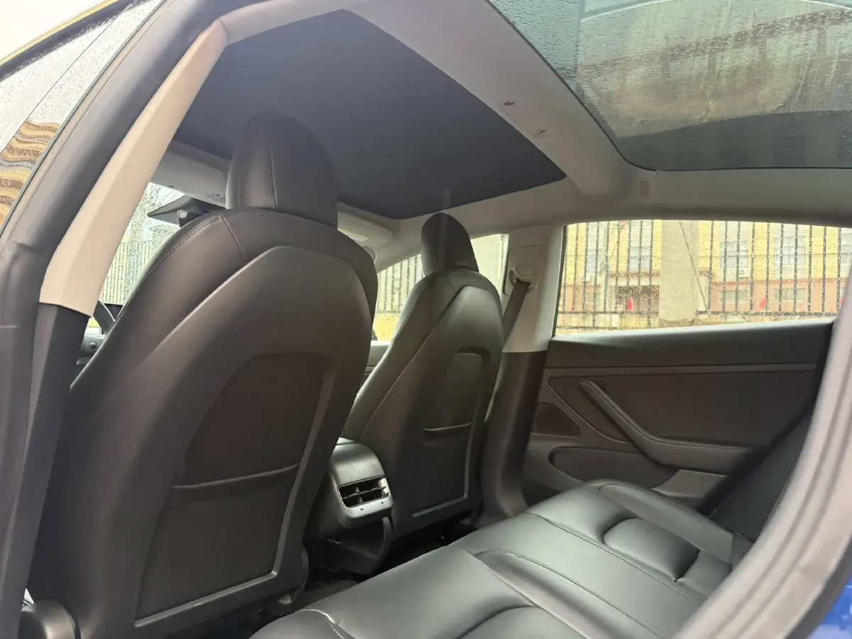 2020 Tesla Model 3 BEV 52KWH,autocango,china used car exporter,china ev exporter,chinese used car exporter,chinese used ev exporter