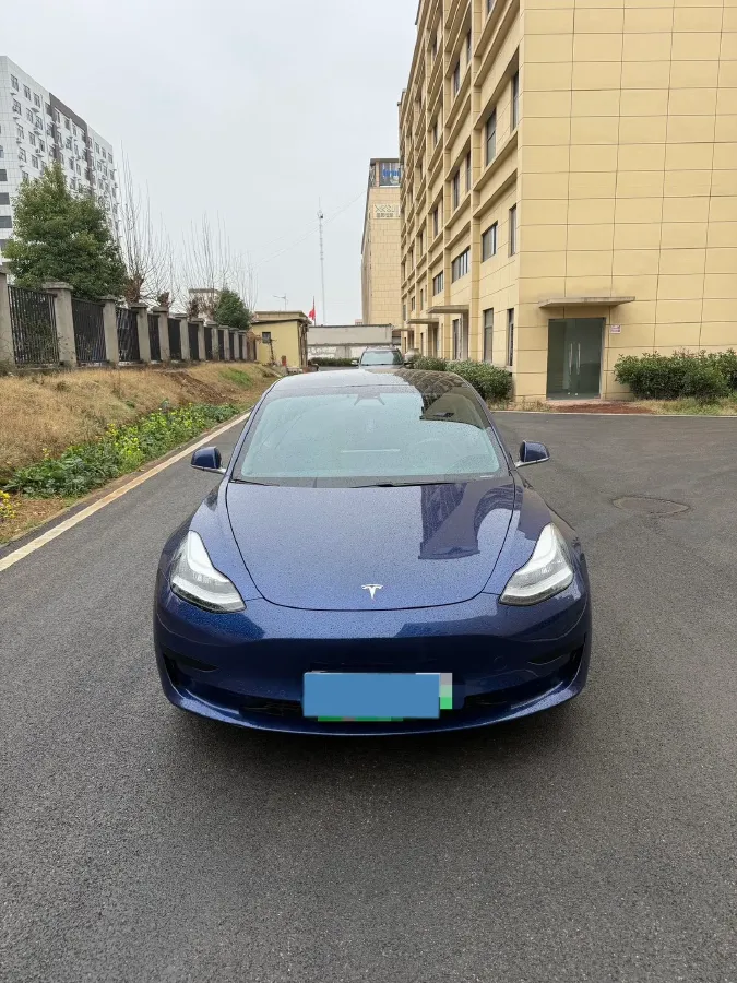 2020 Tesla Model 3 BEV 52KWH,autocango,china used car exporter,china ev exporter,chinese used car exporter,chinese used ev exporter