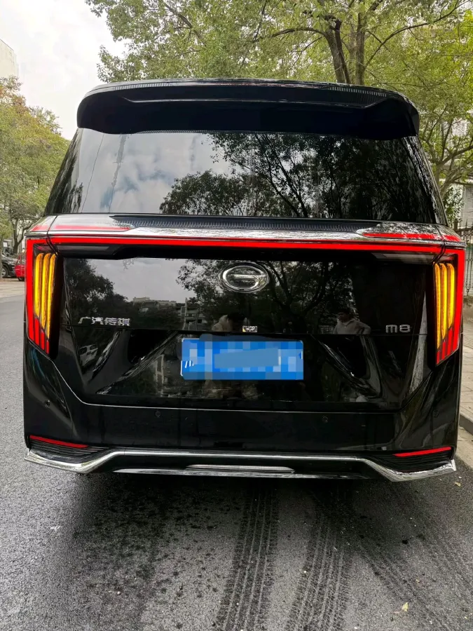 2024 GAC Trumpchi M8 2.0T 252HP L4 8AT,autocango,china used car exporter,china ev exporter,chinese used car exporter,chinese used ev exporter