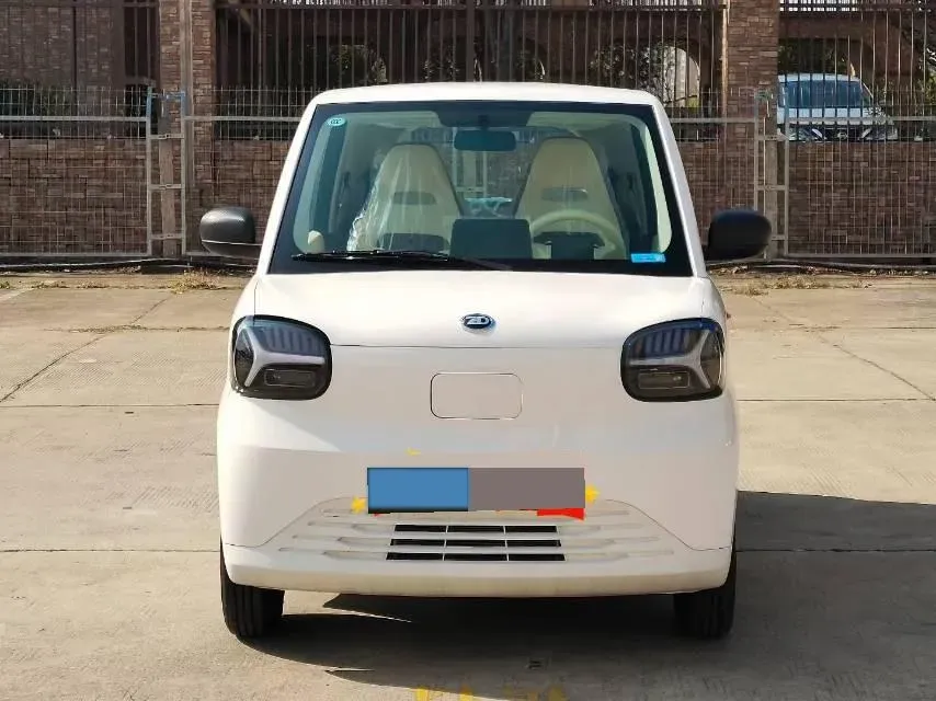 2024 ZD Rainbow BEV 17.3KWH,autocango,china used car exporter,china ev exporter,chinese used car exporter,chinese used ev exporter