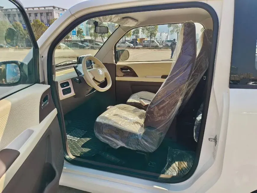 2024 ZD Rainbow BEV 17.3KWH,autocango,china used car exporter,china ev exporter,chinese used car exporter,chinese used ev exporter