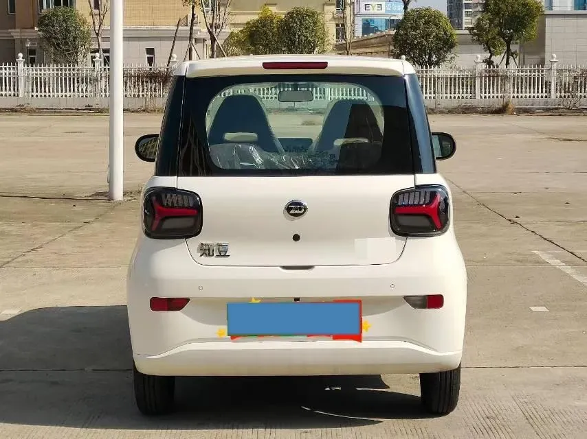 2024 ZD Rainbow BEV 17.3KWH,autocango,china used car exporter,china ev exporter,chinese used car exporter,chinese used ev exporter