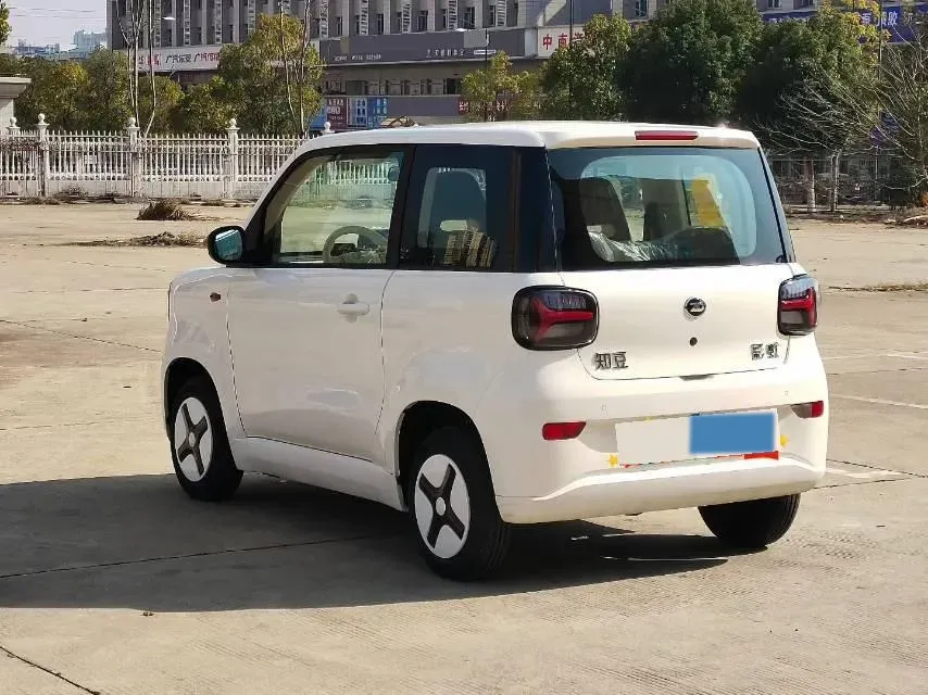 2024 ZD Rainbow BEV 17.3KWH,autocango,china used car exporter,china ev exporter,chinese used car exporter,chinese used ev exporter