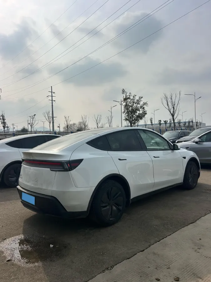 2025 Tesla Model Y BEV,autocango,china used car exporter,china ev exporter,chinese used car exporter,chinese used ev exporter