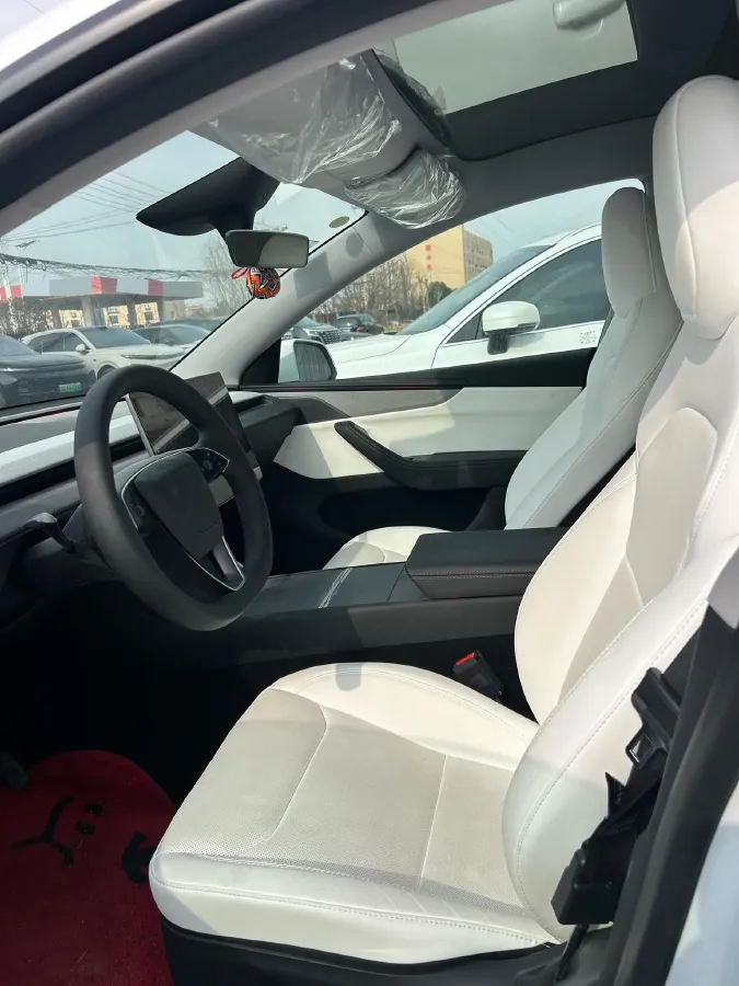 2025 Tesla Model Y BEV,autocango,china used car exporter,china ev exporter,chinese used car exporter,chinese used ev exporter