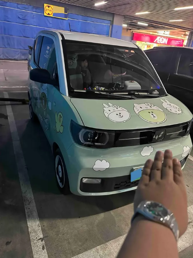 2022 DongFeng Fengon Fengon MINI EV BEV 13.8KWH,autocango,china used car exporter,china ev exporter,chinese used car exporter,chinese used ev exporter