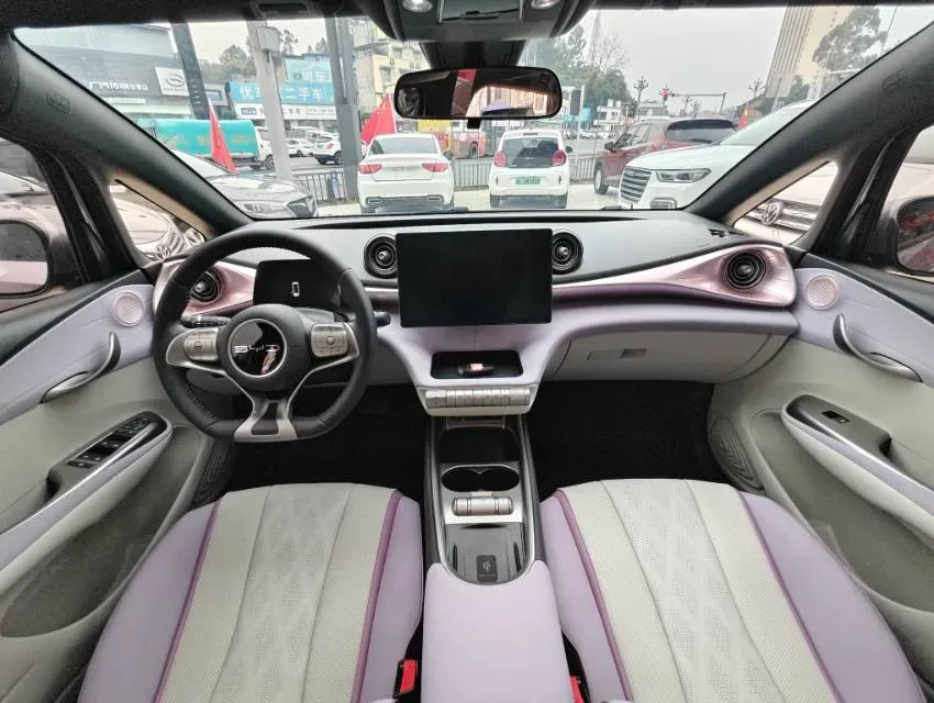 2024 BYD Dolphin BEV 44.928KWH,autocango,china used car exporter,china ev exporter,chinese used car exporter,chinese used ev exporter