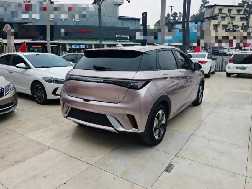 2024 BYD Dolphin BEV 44.928KWH,autocango,china used car exporter,china ev exporter,chinese used car exporter,chinese used ev exporter