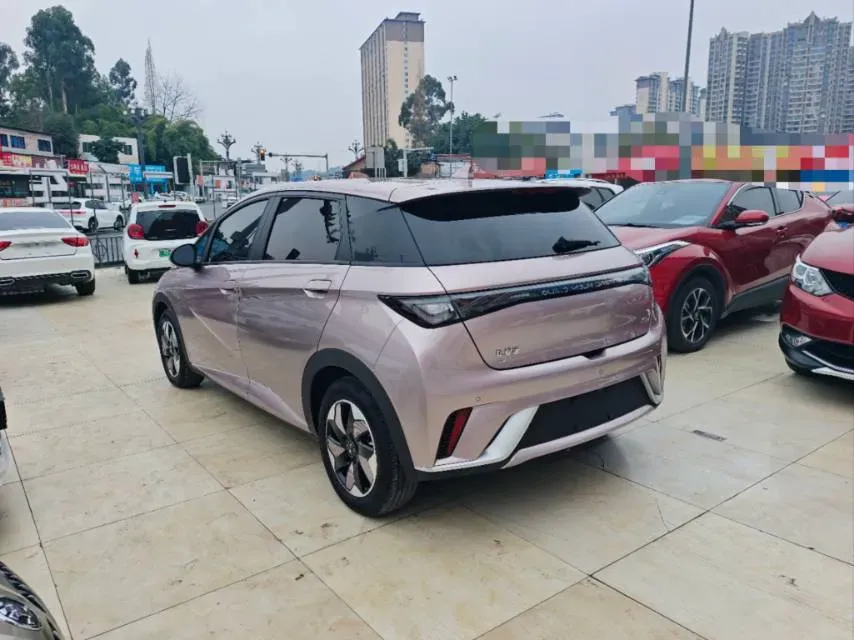 2024 BYD Dolphin BEV 44.928KWH,autocango,china used car exporter,china ev exporter,chinese used car exporter,chinese used ev exporter