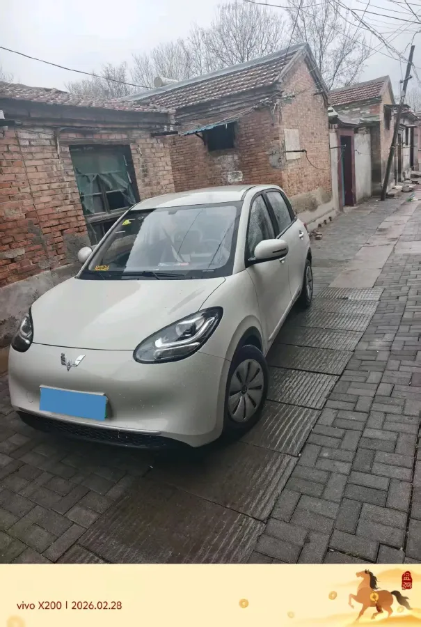 2023 WuLing BinGuo BEV 17.3KWH,autocango,china used car exporter,china ev exporter,chinese used car exporter,chinese used ev exporter