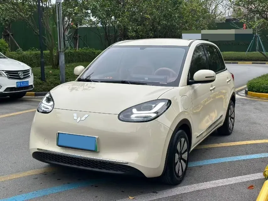 2024 WuLing BinGuo BEV 31.9KWH,autocango,china used car exporter,china ev exporter,chinese used car exporter,chinese used ev exporter
